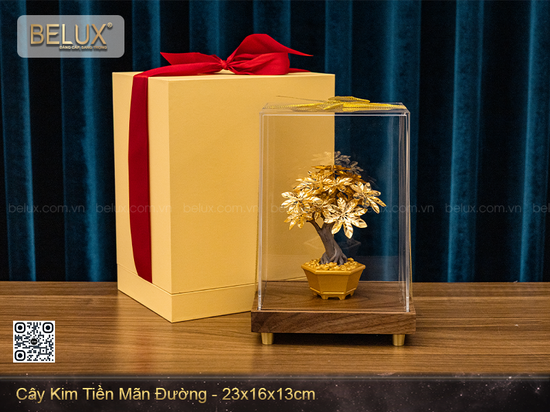 Cây kim tiền mãn đường dat vàng